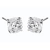Glamour World Damen-Ohrringe C8S8223-TY04