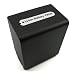 Mertrado NP-FV100 Akku (2000 mAh, 7,4 V) f�r Sony DCR-DVD Serie/DCR-HC Serie/DCR-SR Serie/DCR-SX Serie u. v. a