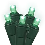20Lt B/O LED Green/Gw WideAngle Set 5.5