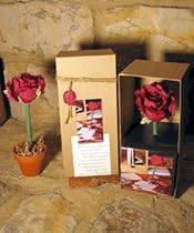 Burgundy Rose Boxed Topiary Flower Pen