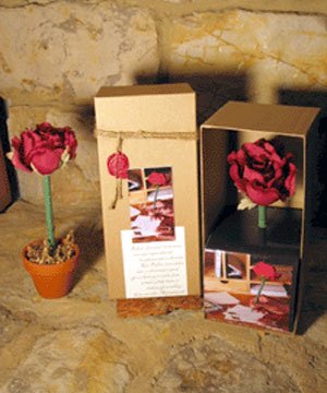 Burgundy Rose Boxed Topiary Flower Pen