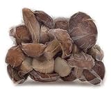 Review Apilcina  / Porcini Mushrooms Fresh Frozen 11 lbs.