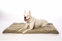 ABO Gear Pet PacSac Pet Bed