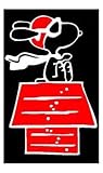 SNOOPY FLYING HIS SOPWITH CAMEL DOGHOUSE Vinyl Sticker/Decal