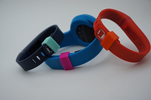 Bitbelt Jr Fitbit Flex, Garmin Vivofit, Amiigo Safety Clasp 2 pack