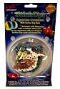 New - Aquarium Designs Case Pack 48 by DDI