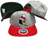 Youngstown State Penguins Grey/Red Two Tone Plastic Snapback Adjustable Plastic Snap Back Hat / Cap