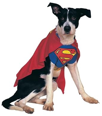 Super Man Dog Costume