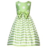 Rare Editions Girls 7-16 LIME-GREEN WHITE DOTS STRIPES Special Occasion Wedding Flower Girl Easter Birthday Party Dress