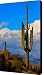 Giant Saguaro in the Southwest Desert Canvas Print / Canvas Art - Artist James Bo Insogna