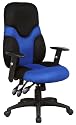 High Back Mesh Ergonomic Task Chair with Adjustable Arms [BT-6001-BEBK-GG]