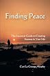 Finding Peace: The Essential Guide to Creating Success in Your Life