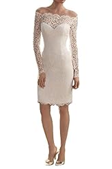 Sexy Bateau Neck Long Sleeves Lace Sheath Natural   Waistline  Dress
