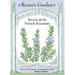 French Rosemary Seeds