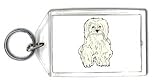 Keychain with dog, pet, animal, maltese