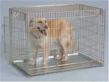 Dog Crate – Gold 2 Door/Medium