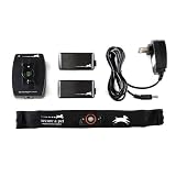 Secure a Pet GPS Dog and Pet Collar
