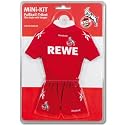 1. FC Köln Trikot / Autotrikot 2010 /2011