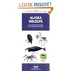 Alaska Wildlife: An Introduction to Familiar Species (State Nature Guides)