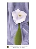 IMAGE OF Calla Lily on Grey Finest LAMINATED Print Georgia O'Keeffe 24x32
