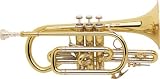 Bach 184 Stradivarius Series Bb Cornet (184Xl Lacquer, .465 Bore)