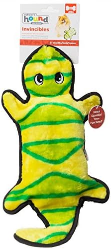 Kyjen Outward Hound Invincibles DuraTuff Gecko Toy