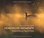 Nordische Momente: Tiergeschichten aus Taiga und Tundra