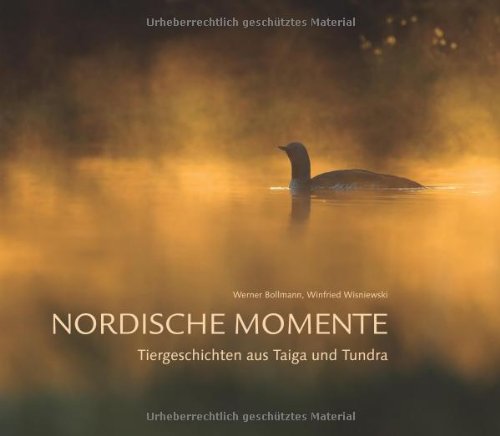 Produkt-Bild: Nordische Momente: Tiergeschichten aus Taiga und Tundra