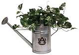Auburn University Tigers Watering Can