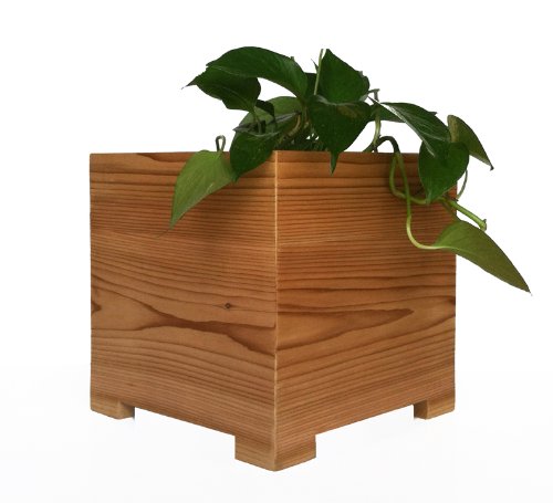Wooden Planter Box - 18