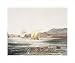 View of the City of Manila, Philippine Islands by Luis Choris poster print,20 in. x 16.8 in.
