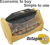 Octagon 20