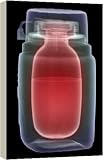 Review Media Storehouse  / Thermos flask, X-ray - 16 Inch Canvas Print (40 cm) by Science Photo Library