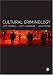 Cultural Criminology: An Invitation