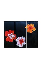 LegendArte multicolor