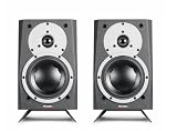 Dynaudio Speaker - MC15