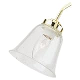 Sea Gull Lighting 1685 67 Ceiling Fan Glass Light Shade, Clear Seeded Glass 41efFGfV5KL. SL160 Sea Gull Lighting 1685 67 Ceiling Fan Glass Light Shade, Clear Seeded Glass