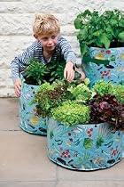 Patio Vegetable Planters Great for Children Pack of 3