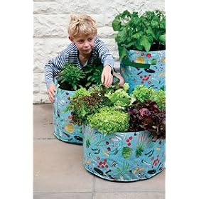 Patio Vegetable Planters Great for Children Pack of 3