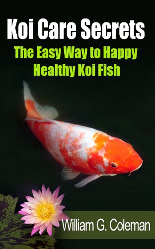 koi care