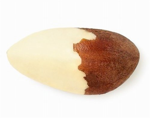 Brazil Nuts Jumbo by Oh! Nuts