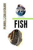 Fish: Picture Book (Educational Children's Books Collection) (Planet Collection)