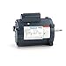 Leeson Electric 100208.00 - Jet Pump Motor - 1 ph, 3/4 hp, 3600 rpm, 115/208-230 V, 56J Frame, Drip Proof Enclosure, 60 Hz