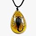 REALBUG Black Scorpion Necklace, Amber, large