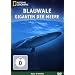 National Geographic - Blauwale: Giganten der Meere