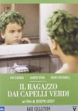 Produkt-Bild: Il Ragazzo Dai Capelli Verdi