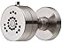 Danze D460258BN Parma 2-Function Wall Mount Jets Body Spray, Brushed Nickel