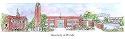 University of Florida - Collegiate Colors - 5" x 13" Framed Prints