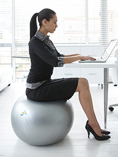 CalCore Brand Professional Physio Ball Chair For Office and Home