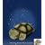 Twilight Turtle - Constellation Night Light with Small Plush Turtle